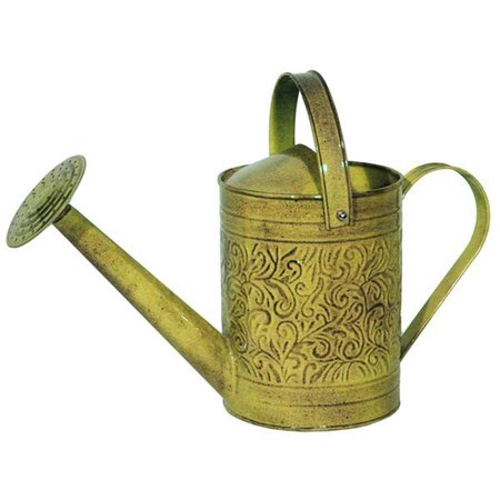 PERFECTPATIO 1 gal Topaz Metal Morgan Watering Can PE1739120